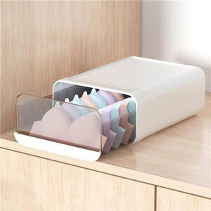 Plastic Underwear Organizer Drawer Closet Storage Box for Bras Socks Ties Scarve